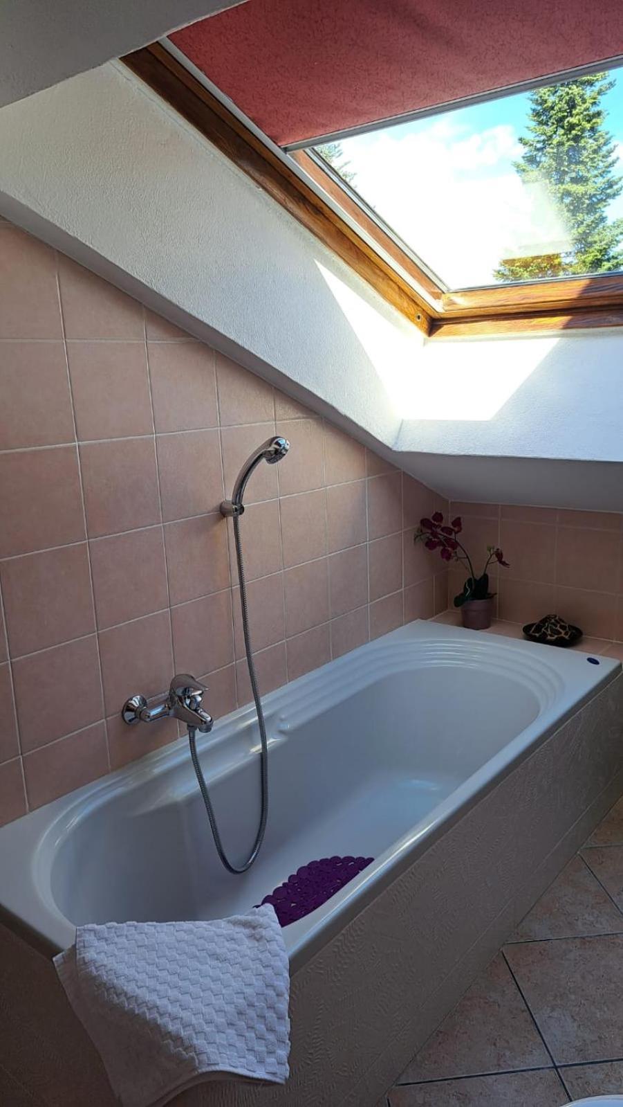 Ferienwohnung Casa Paola - Stazione 400 Mt - Free Wifi Arcore Exterior foto